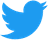 sns icon twitter