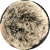 yubachiri icon